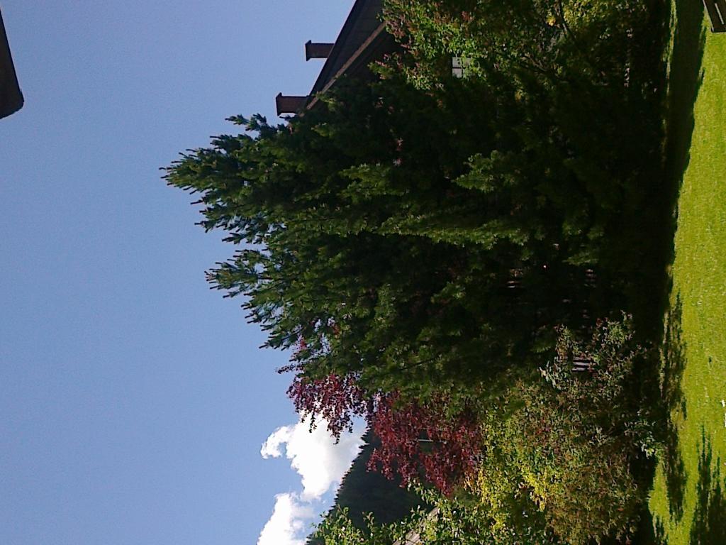 Ferienhaus Zipfmatl Keusche Bad Kleinkirchheim Exteriör bild